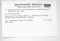Image Associated With the Occurence